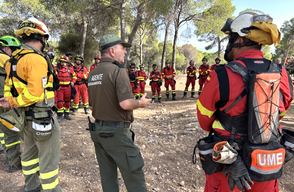 La UME y las brigadas forestales se coordinan en Sierra Espu�a con un gran simulacro de incendio